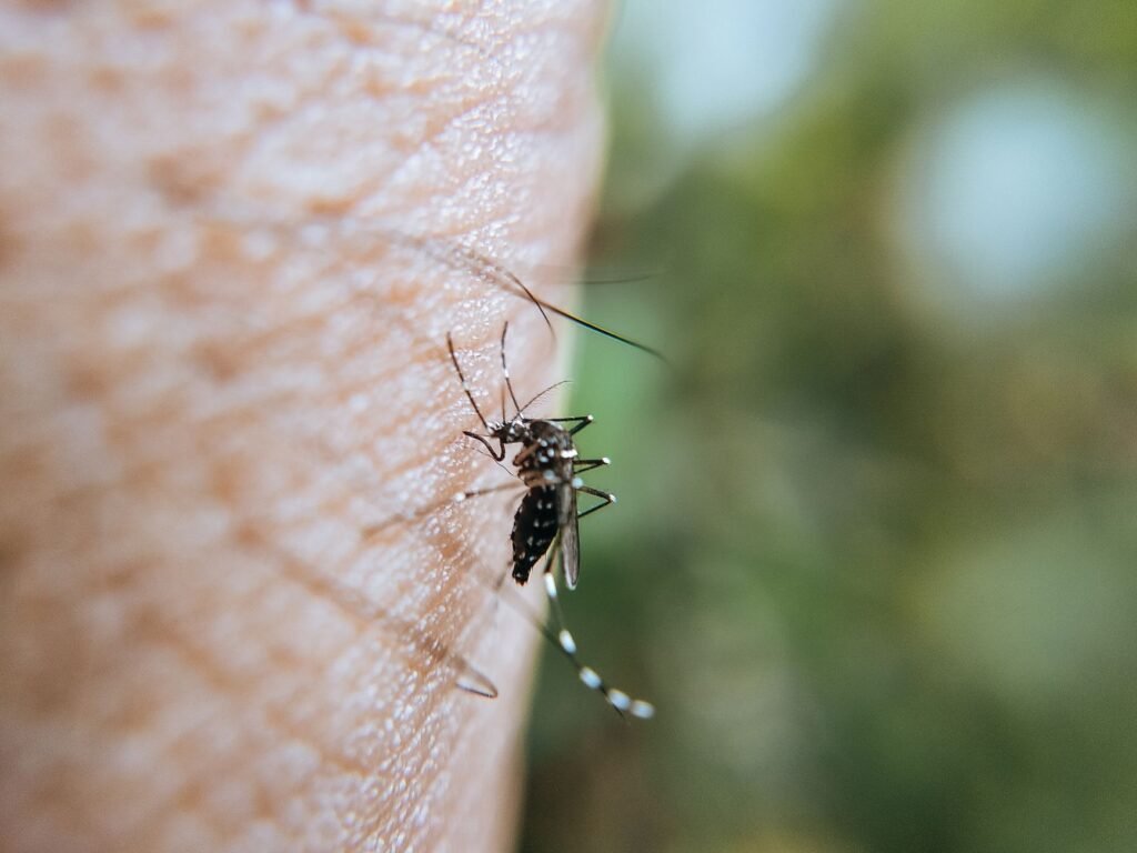 Repelente anti-tantari West Nile 2026 din farmacie — DEET si Icaridina